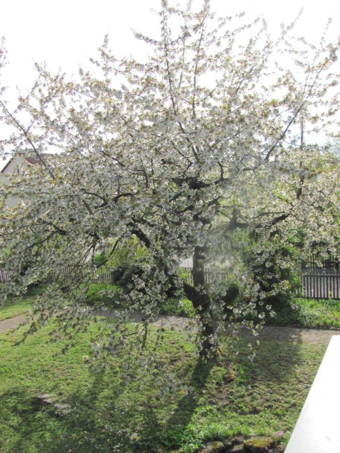 Hochwertiges Ferienhaus Im Romantischen Franken Colmberg Eksteriør bilde